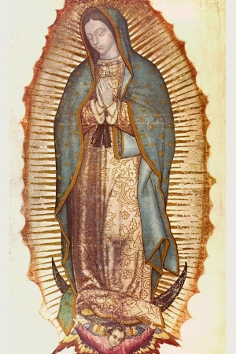 Nuestra Señora de Guadalupe Nuestra Señora de Guadalupe