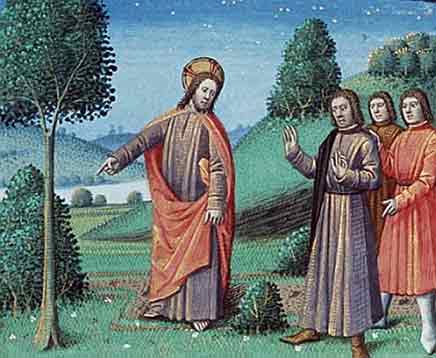 La parábola de la higuera La parábola de la higuera