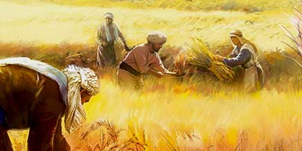 Parábola de la mala hierba entre el trigo