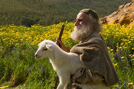 Parábola de la oveja perdida