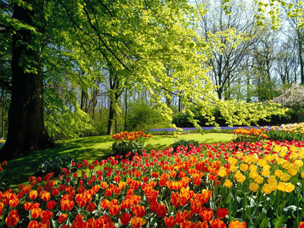 Visita del Amado al llegar la primavera