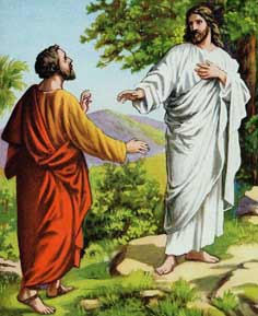 Pedro declara que Jesús es el mesías