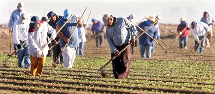 Parábola de los trabajadores de la viña