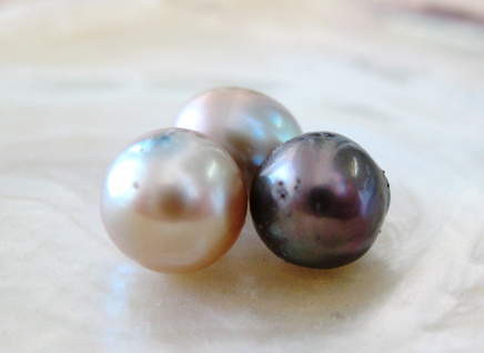 Dos parábolas: tesoro y perla