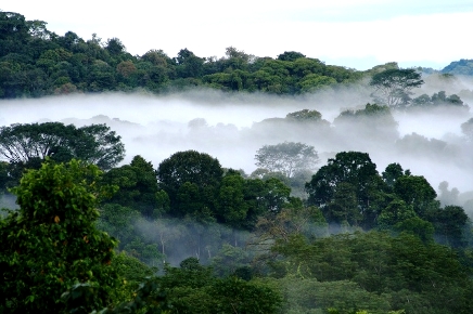 La ley del talión