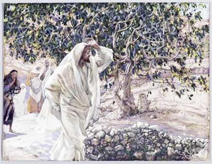Jesús maldice la higuera sin frutos