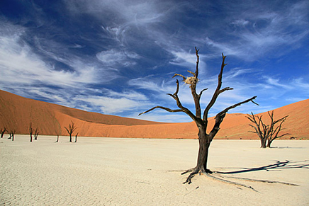 Solos en un lugar desierto