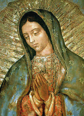 novena a la virgen de guadalupe comunicando la