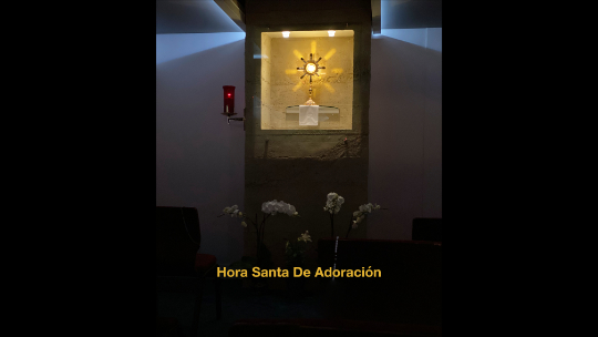 Clic aquí para rezar la Hora Santa de Adoración