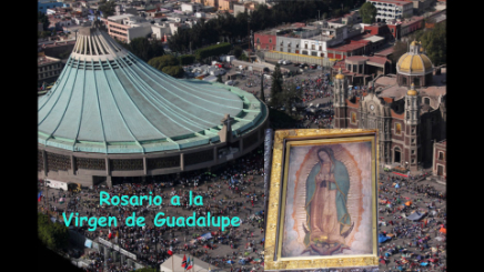 haz clic aquí para rezar el Rosario a la Virgen de Guadalupe