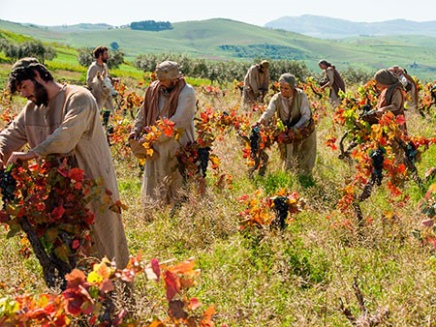 Los trabajadores de la viña