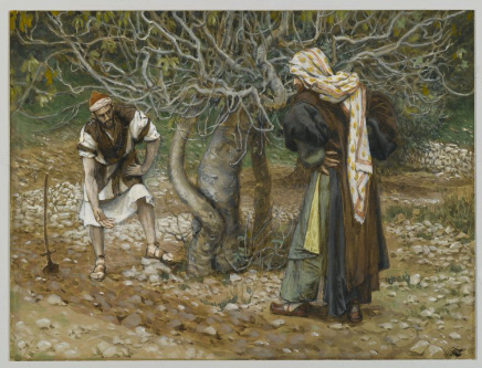 Parábola del viñador Parábola del viñador