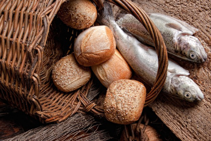 Como ovejas sin pastor Como ovejas sin pastor