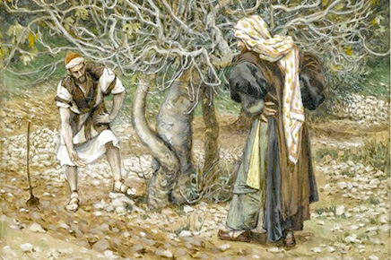 La parábola de la higuera La parábola de la higuera